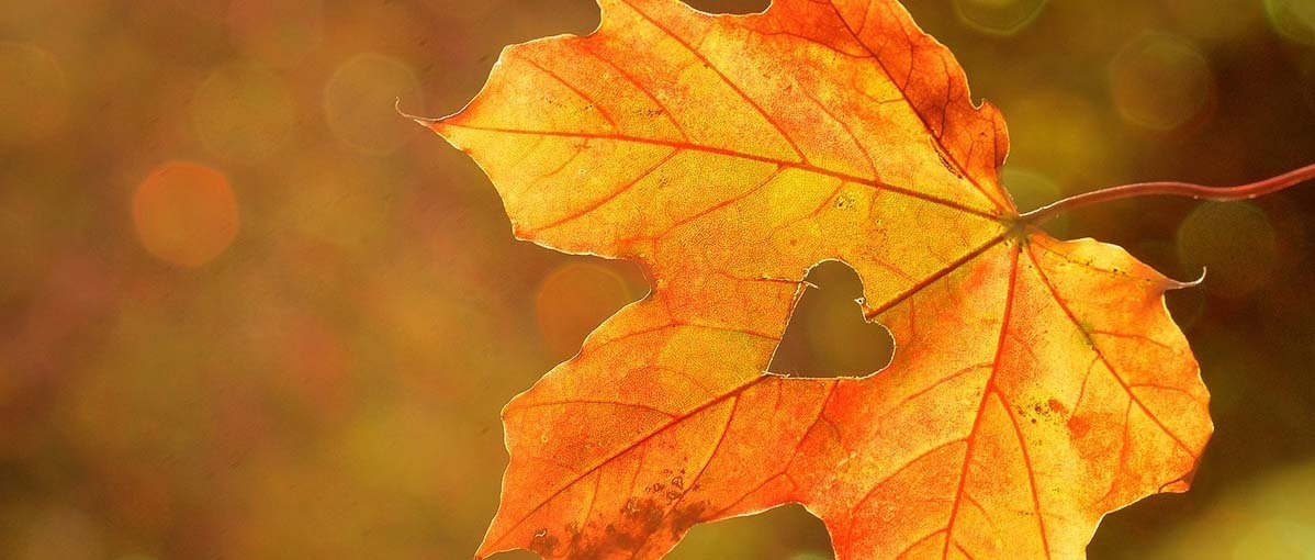 An extra colourful autumn with the EXIT Toys play tips