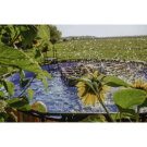 Piscina EXIT Stone ø427x122cm con pompa filtro a sabbia - grigia