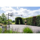 Tabellone da basket portatile su ruote EXIT Galaxy - verde/nero